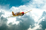 No.0052. P-40 Warhawk