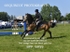 BPP_6959