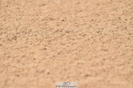 230720A-104710-02227