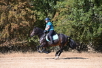 WJ6_8502