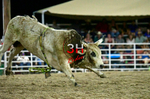 3HRodeo8-5-24_CFD_3HR-YUMA- 6135_