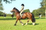 SBM_59921