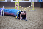 SBM_004788