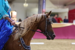 SBM_09673
