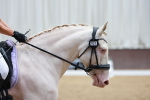SBM_007558