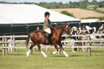 SBM_09553