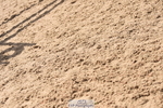230906A-140648-00567