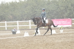 SBM_003905