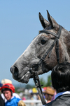 230626-Race 2-Tattie Bogle-0428