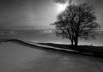 Winter Landscape, North Wales