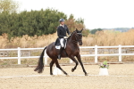 SBM_006785