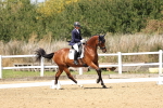 SBM_018664