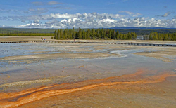 Yellowstone National Park portfolio