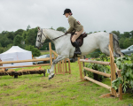 Dunblane show-678