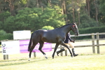 SBM_20281
