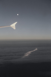 Out the Window portfolio