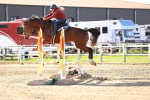SBM_002788