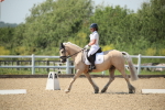SBM_009622