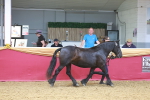 SBM_16595