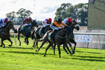 140926-Race 7-Forest Caper-7942