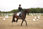 SBM_006908