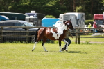 SBM_05465