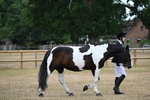 WJ6_7831