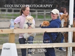 BPP_5376