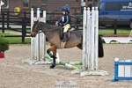 40cm Showjumping portfolio