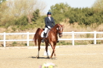 SBM_017015