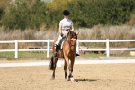 SBM_018629