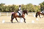 SBM_017351