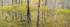 FALLSCAPE - ACADIA NP, MAINE