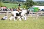 SBM_17247