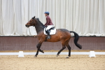 SBM_000529
