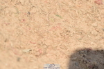 230720A-111650-02354
