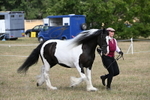 WJ6_6512
