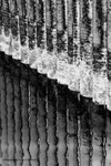 IMG_9948w