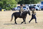 WJ6_7783