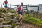 Langdale-2350
