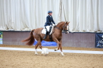 SBM_001801