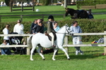 SBM_51947