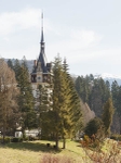 Peles Castle #1