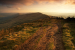 Along the Ridge