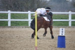 SBM_003411