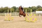 SBM_008496
