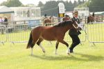 SBM_00470