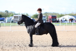 SBM_08936