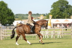 SBM_10262