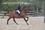 BPP_2896